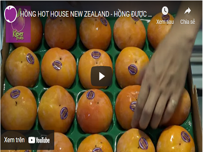 KHÁM PHÁ HỒNG HOT HOUSE NEW ZEALAND TẠI KLEVER FRUIT - ĐƠN VỊ CUNG CẤP DUY NHẤT TẠI VIỆT NAM