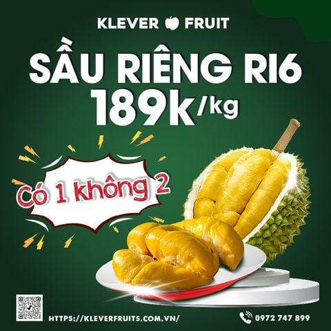 SIÊU PHẨM SẦU RIÊNG RI 6 CHỈ 189K/KG