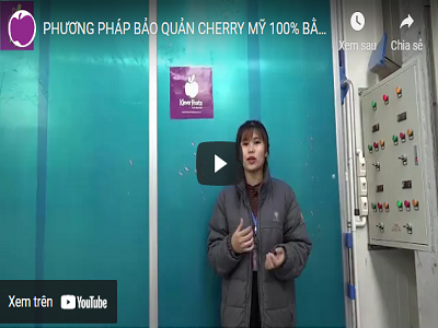 PHƯƠNG PHÁP BẢO QUẢN CHERRY MỸ 100% BẰNG KHO LẠNH TẠI KLEVER FRUIT