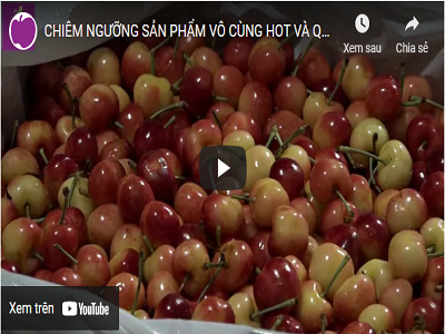 CHIÊM NGƯỠNG SẢN PHẨM VÔ CÙNG HOT VÀ QUÝ TẠI KLEVER FRUIT