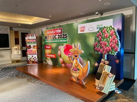 Klever Fruit Tham Dự Lễ Ra Mắt Mận Úc 2025 - Bước Tiến Mới Cho Thị Trường Hoa Quả Nhập Khẩu Việt Nam