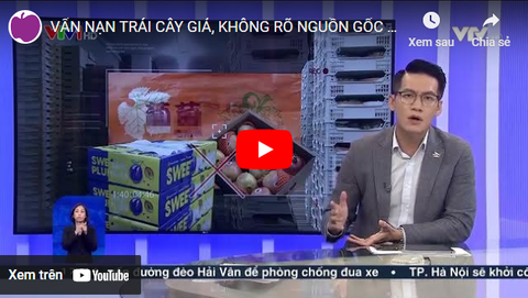 VẤN NẠN TRÁI CÂY GIẢ, KHÔNG RÕ NGUỒN GỐC NGÀY CÀNG NGHIÊM TRỌNG