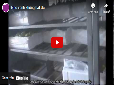 Nho xanh không hạt Úc
