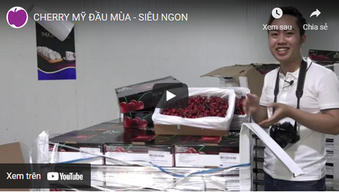 CHERRY MỸ ĐẦU MÙA - SIÊU NGON, SIÊU ĐẸP MẮT