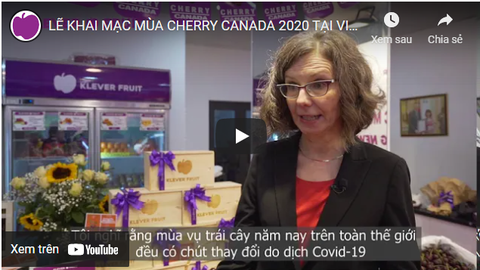 Khai mạc mùa cherry Canada 2020 tại Việt Nam