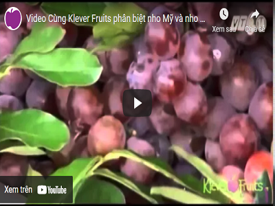 Nho không hạt Mỹ