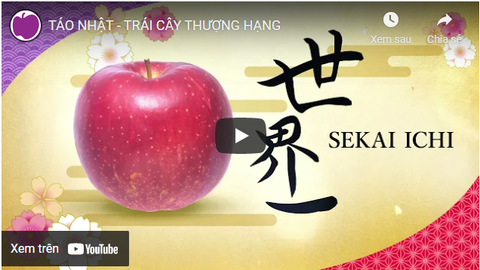 8 Dòng táo Nhật thượng hạng có mặt tại Klever Fruit