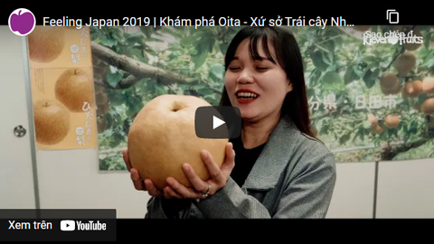 Feeling Japan 2019 | Khám phá Oita - Xứ sở Trái cây Nhật Bản
