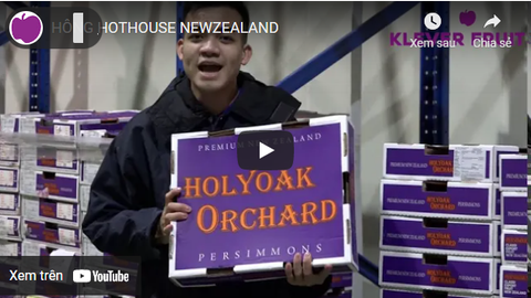 HỒNG HOTHOUSE NEW ZEALAND
