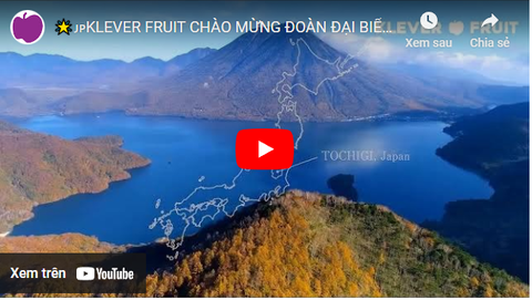 🌟🇯🇵KLEVER FRUIT CHÀO MỪNG ĐOÀN ĐẠI BIỂU CẤP CAO TỈNH TOCHIGI VÀ MÙA LÊ NIKKORI, NHẬT BẢN 2022🌟🇯🇵