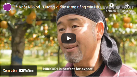 Lê Nhật Vip chủng Nikkori - Hương vị đặc trưng riêng của Nhật Bản