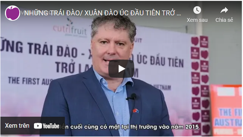 NHỮNG TRÁI ĐÀO/ XUÂN ĐÀO ÚC ĐẦU TIÊN TRỞ LẠI VIỆT NAM - HN