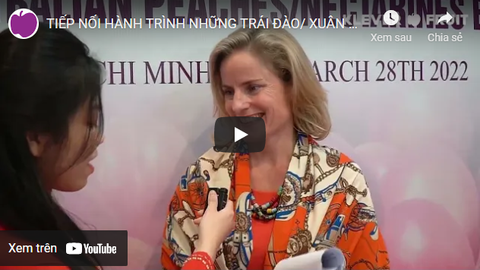 TIẾP NỐI HÀNH TRÌNH NHỮNG TRÁI ĐÀO/ XUÂN ĐÀO ÚC ĐẦU TIÊN TRỞ LẠI VIỆT NAM