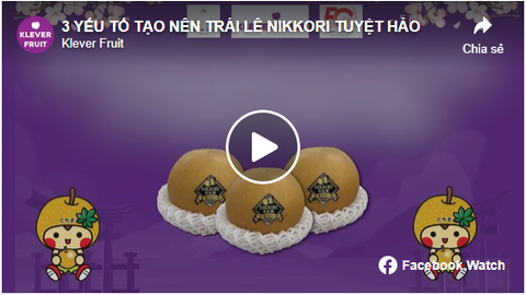KHÁM PHÁ 3 YẾU TỐ TẠO NÊN TRÁI LÊ NIKKORI TUYỆT HẢO