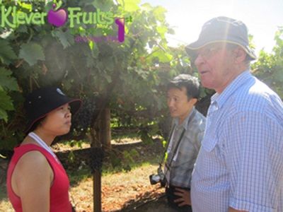 Klever Fruit tại tuần lễ ẩm thực quốc tế Melbourne, Úc