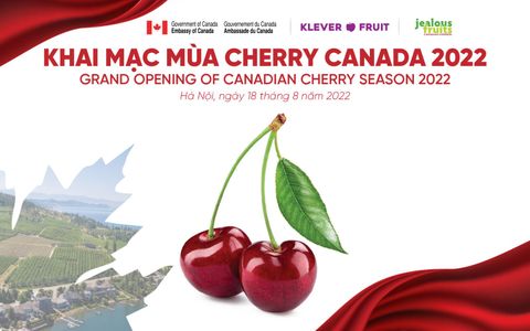 CHERRY CANADA – PHẦN THƯỞNG CHO LÒNG KIÊN NHẪN