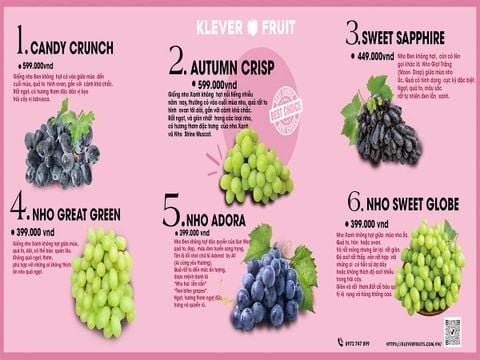 Top 4 Loại Nho Nhập Khẩu Đang Mùa Tại Klever Fruit – Thưởng Thức Vị Ngon Đỉnh Cao 🍇✨