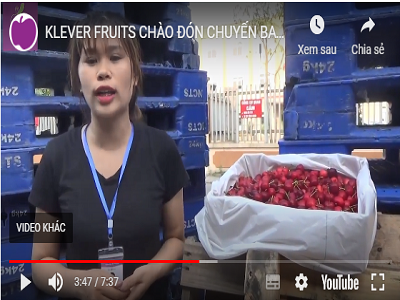 KLEVER FRUIT CHÀO ĐÓN CHUYẾN BAY THỨ 2 CỦA CHERRY MỸ VỀ CẢNG HÀNG KHÔNG NỘI BÀI