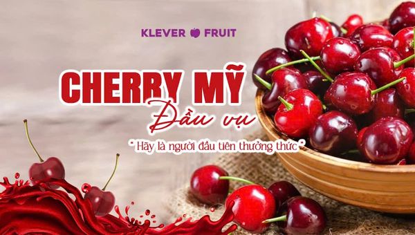 Mùa Cherry Mỹ 2025: Cherry Đỏ Tươi Ngon Đã Có Mặt Tại Klever Fruit