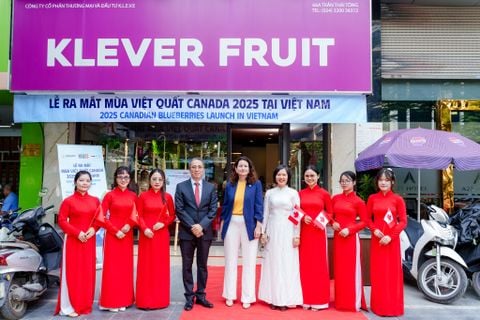 Hành Trình Việt Quất Canada 2025 Đến Việt Nam: Câu Chuyện Tiên Phong Của Klever Fruit