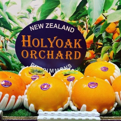 Chào Mừng Mùa Hồng Hot House New Zealand 2025 Mới Về – Thượng Hạng Từ Klever Fruit
