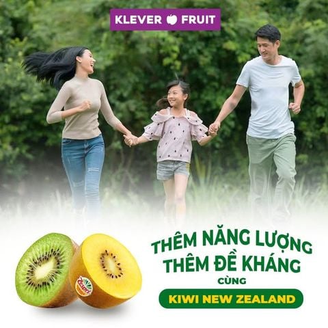 Chào Mừng Mùa Kiwi New Zealand 2025 Mới Về Tươi Ngon Thượng Hạng Tại Klever Fruit
