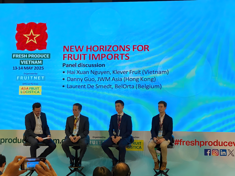 Toàn cảnh thị trường trái cây nhập khẩu Việt Nam 2025: Xu hướng, cơ hội và giải pháp phát triển bền vững