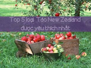 Top 5 Dòng Táo New Zealand Được Yêu Thích Nhất Tại Klever Fruit