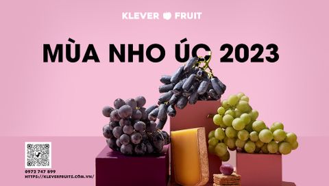 MÙA NHO ÚC 2023 - TƯNG BỪNG ƯU ĐÃI MỪNG ĐẠI LỄ