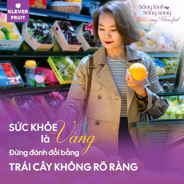 Lối Sống Lành Sống Sang – Xu Hướng Tái Định Nghĩa Cuộc Sống Hiện Đại