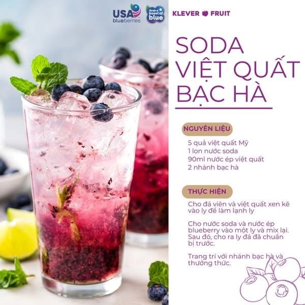 Quả Việt Quất – Tất Tần Tật Về Siêu Trái Cây Tốt Cho Sức Khỏe Tại Klever Fruit