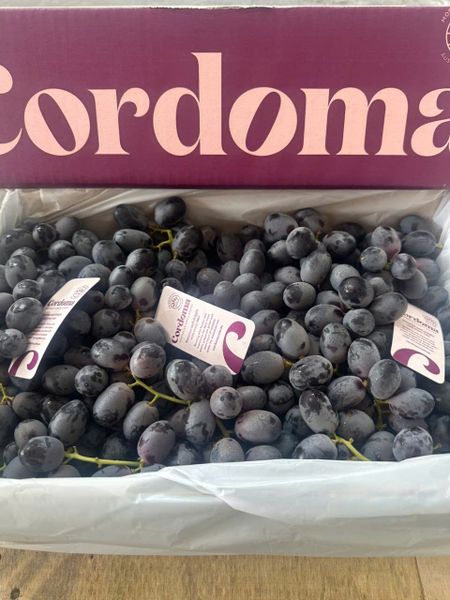 Top 7 Loại Nho Kẹo Ngon Nhất Thế Giới Tại Klever Fruit