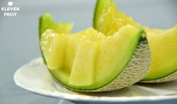 Dưa giống Nhật Musk Melon tròn đều với lớp gân lưới trắng sang trọng từ Klever Fruit