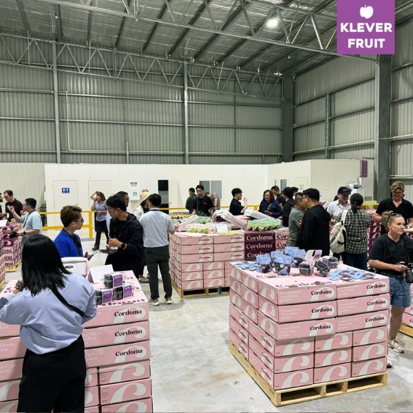 Klever Fruit và Hành Trình Khảo Sát Chất Lượng Trái Cây tại Úc: Nho và Quả Hạch