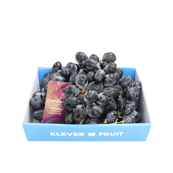 Top 4 Loại Nho Nhập Khẩu Đang Mùa Tại Klever Fruit – Thưởng Thức Vị Ngon Đỉnh Cao 🍇✨