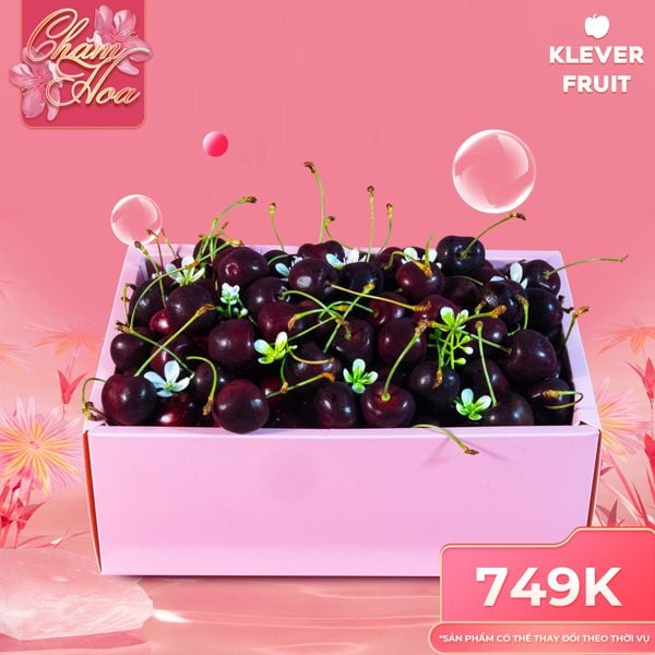 Mua Giỏ Trái Cây 8/3 Ở Đâu? Gợi Ý Địa Chỉ Uy Tín & Giá Tốt