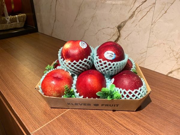 Hộp quà Đào và Xuân Đào
