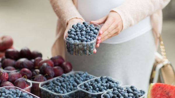 Quả Việt Quất – Tất Tần Tật Về Siêu Trái Cây Tốt Cho Sức Khỏe Tại Klever Fruit