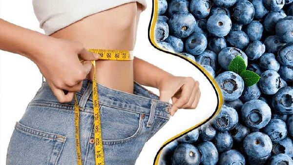 Quả Việt Quất – Tất Tần Tật Về Siêu Trái Cây Tốt Cho Sức Khỏe Tại Klever Fruit