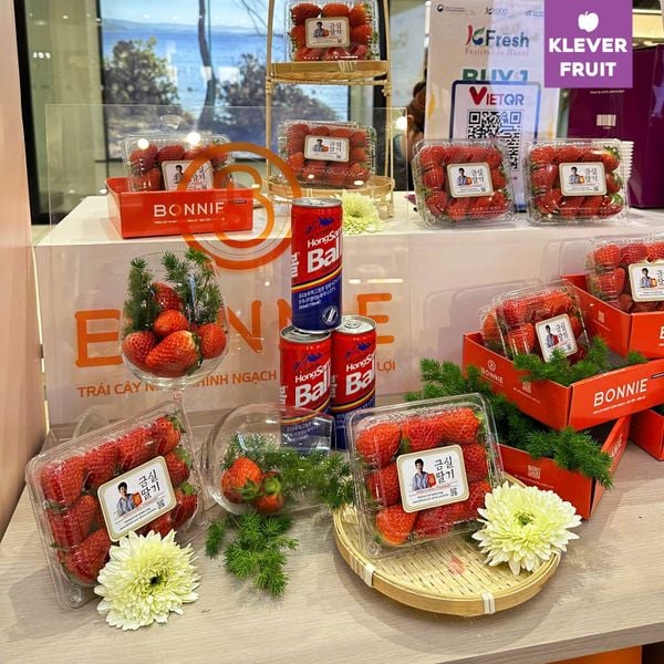 K-Fresh Festival 2025: Kết Nối Tinh Hoa Nông Sản Việt Nam - Hàn Quốc