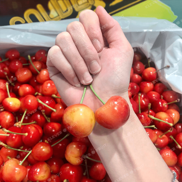 Khám Phá Cherry Vàng Mỹ – Viên Ngọc Quý Của Trái Cây Nhập Khẩu Tại Klever Fruit