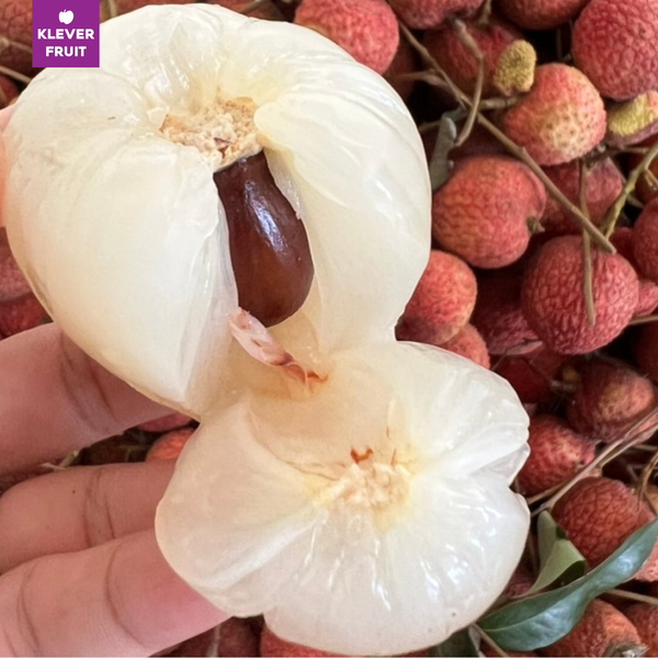 Vải Trứng Hưng Yên – Tinh Hoa Trái Cây Việt Nam Mùa Hè
