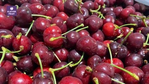 Trái Cây Cho Người Bận Rộn: Giải Pháp Dinh Dưỡng Tiện Lợi Và Hiệu Quả