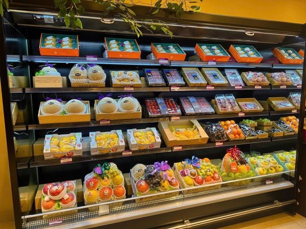 Khám Phá Cherry Vàng Mỹ – Viên Ngọc Quý Của Trái Cây Nhập Khẩu Tại Klever Fruit