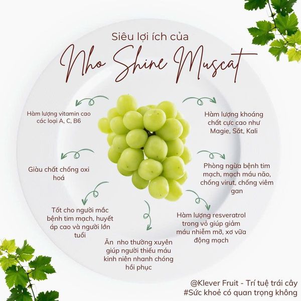 Nho Mẫu Đơn Shine Muscat Hàn Quốc – Vì Sao Đắt Nhưng Vẫn Cháy Hàng?