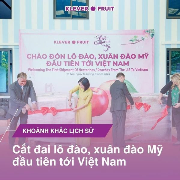 Klever Fruit cùng Hiệp hội Trái cây tươi bang California, Cục Kiểm dịch động thực vật (Bộ Nông nghiệp Mỹ) và Đại sứ quán Hoa Kỳ đã tổ chức lễ đón lô đào và xuân đào đầu tiên được nhập khẩu từ California Mỹ về Việt Nam