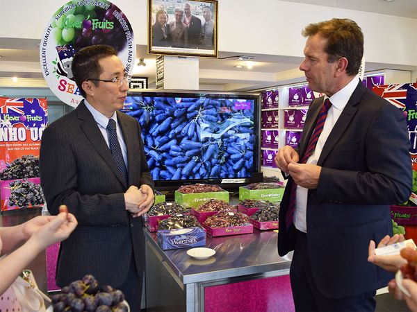 Bộ trưởng Thương mại và Đầu tư Đảng Lao Động Australia thăm Klever Fruit