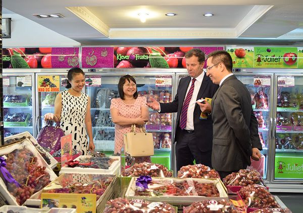 Bộ trưởng Thương mại và Đầu tư Đảng Lao Động Australia thăm Klever Fruit