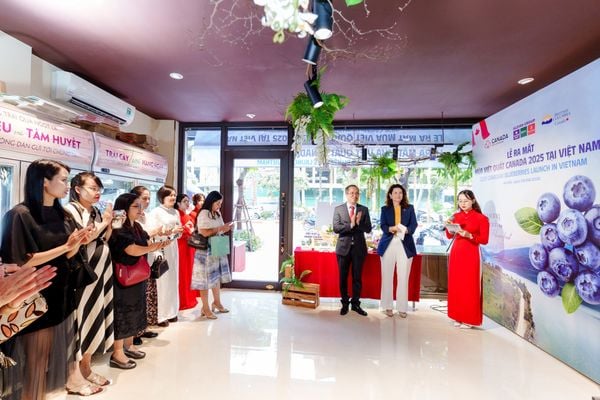 Sự kiện Lễ ra mắt việt quất Canada 2025 tại Klever Fruit thu hút đông đảo khách mời và báo chí các ngành