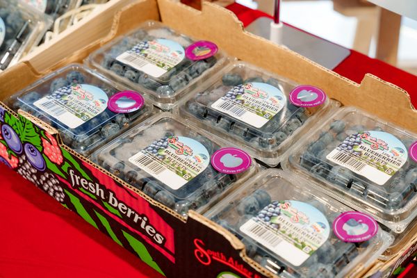 Những trái việt quất Canada từ South Alder Farms